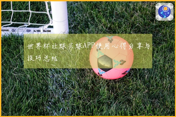 世界杯让球买球APP使用心得分享与技巧总结